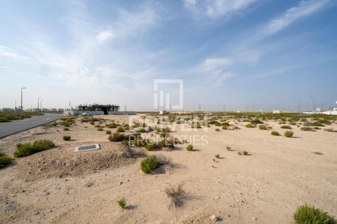 Земельный участок 1013.67м² в Джабаль-Али, ОАЭ №217643 8