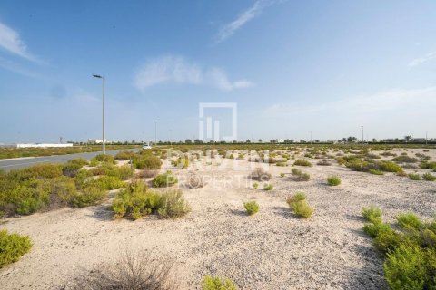 Земельный участок 1013.67м² в Джабаль-Али, ОАЭ №217643 5
