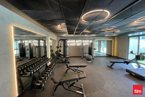 46.5m² Apartment in Dubai, UAE No. 169738 13