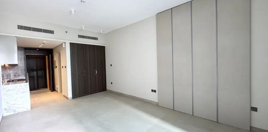 Studio Apartment in Dubai, UAE No. 169738