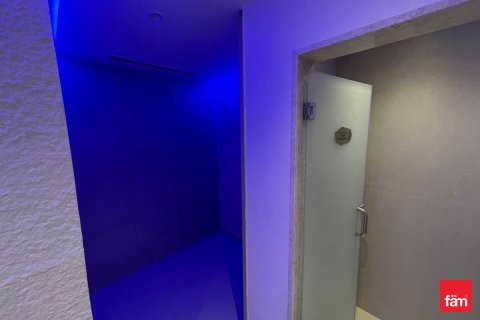 46.5m² Apartment in Dubai, UAE No. 169738 3