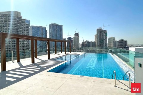 46.5m² Apartment in Dubai, UAE No. 169738 15
