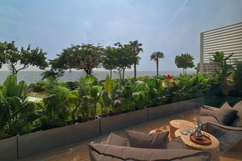 4 bedrooms Townhouse in Bluewaters Residences, UAE No. 43403 23