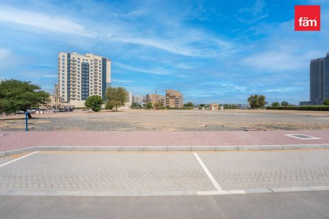 Land de 528m² en Wadi Al Safa 2, UAE No. 215799 4