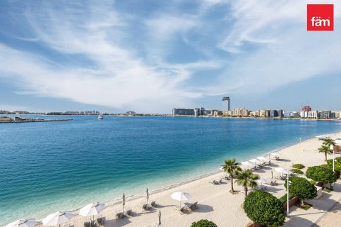 Appartement de 1 chambre à Dubai Harbour, UAE No. 219021 10