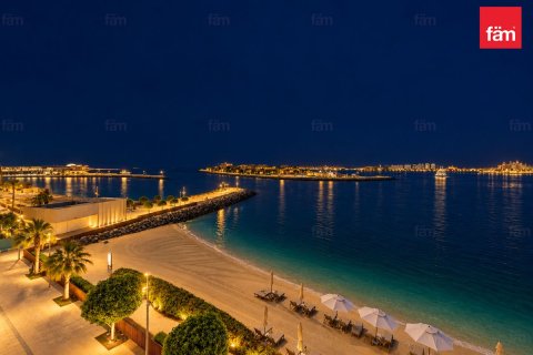 Appartement de 1 chambre à Dubai Harbour, UAE No. 219021 12
