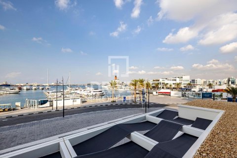 2 bedrooms Apartment in Mina Rashid, UAE No. 212538 21