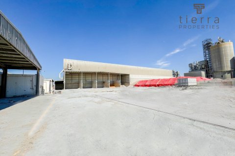 Warehouse de 8361.2m² en Jebel Ali, UAE No. 48804 3