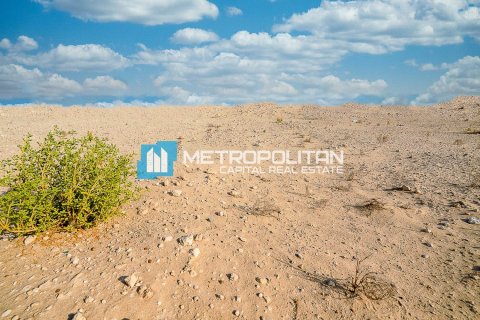 704m² Land in Al Hudayriat Island, UAE No. 119896 11