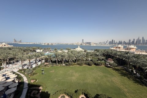 Studio Apartment in Palm Jumeirah, UAE No. 213579