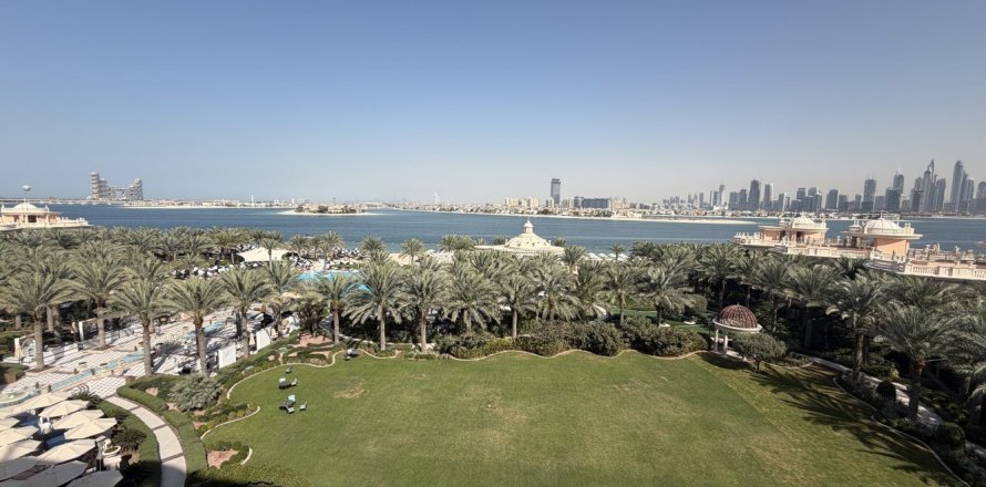 استوديو شقة في نخلة جميرا, الإمارات العربية المتحدة رقم 213579