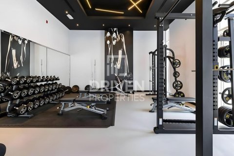 Квартира с 2 спальнями в Barsha Heights (Tecom), ОАЭ №223038 25