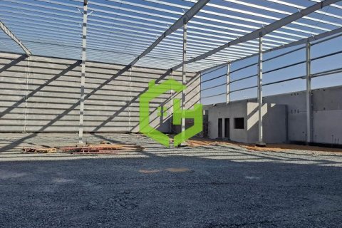 3168.2m² Warehouse in Umm Al Thuoob, UAE No. 92145 8