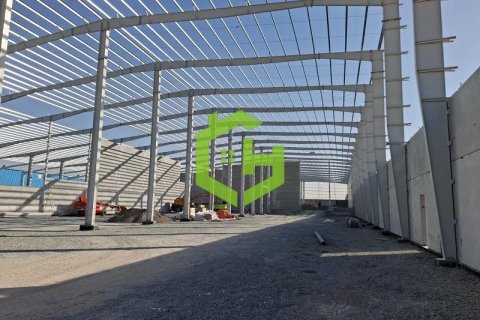3168.2m² Warehouse in Umm Al Thuoob, UAE No. 92145 4