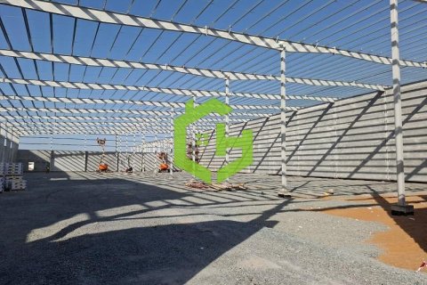 3168.2m² Warehouse in Umm Al Thuoob, UAE No. 92145 11