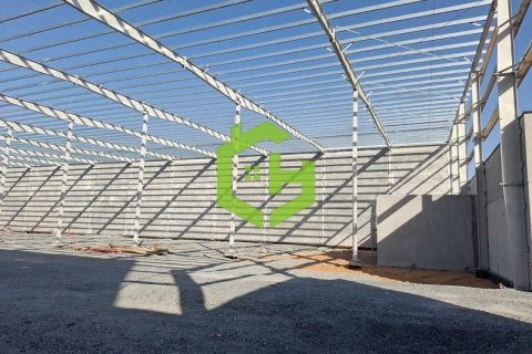 3168.2m² Warehouse in Umm Al Thuoob, UAE No. 92145 9