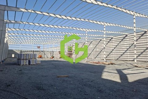 3168.2m² Warehouse in Umm Al Thuoob, UAE No. 92145 10