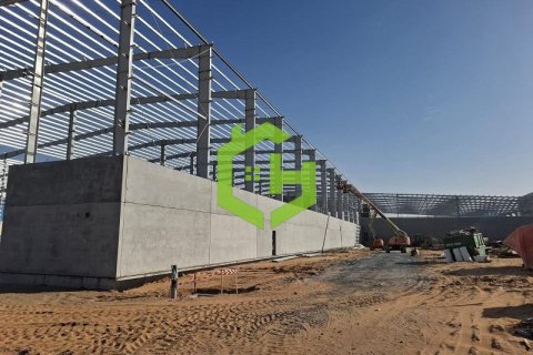 3168.2m² Warehouse in Umm Al Thuoob, UAE No. 92145 5