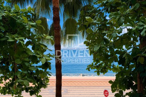 Studio Apartment in The Crescent, UAE No. 221173 16