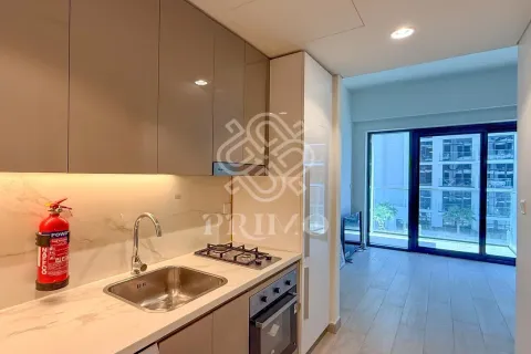Studio Apartment in Dubai, UAE No. 160397