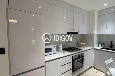 Apartment de 1 dormitorio en District 15, UAE No. 184612 5