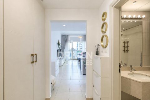 Studio Apartment in Downtown Dubai (Downtown Burj Dubai), UAE No. 211407 10