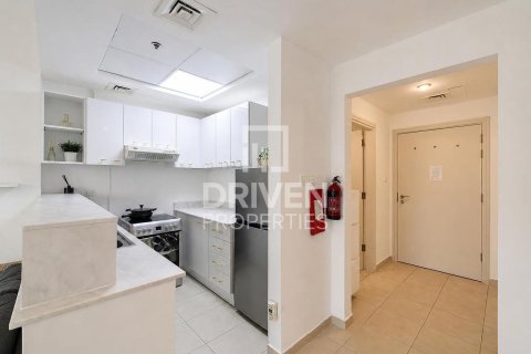 Studio Apartment in Downtown Dubai (Downtown Burj Dubai), UAE No. 211407 9