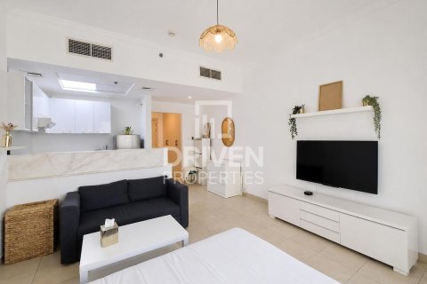 Studio Apartment in Downtown Dubai (Downtown Burj Dubai), UAE No. 211407