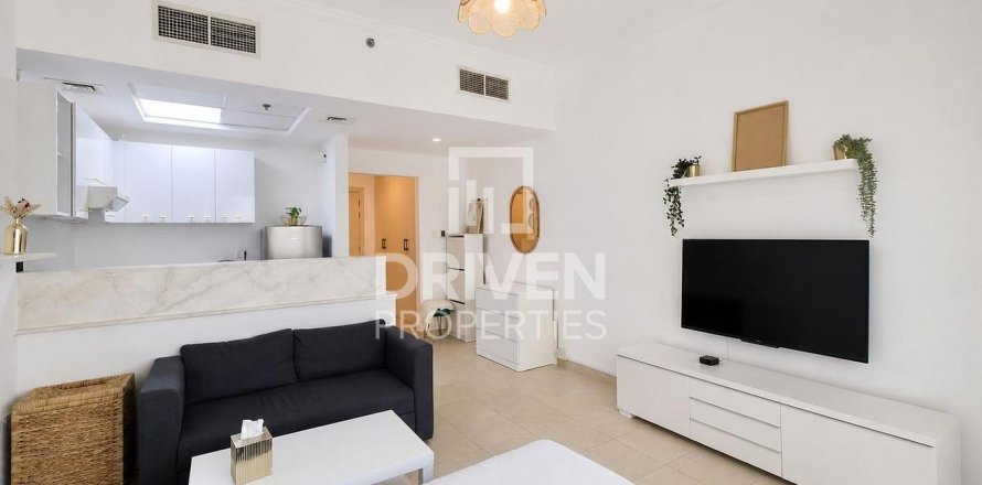 Studio Apartment in Downtown Dubai (Downtown Burj Dubai), UAE No. 211407