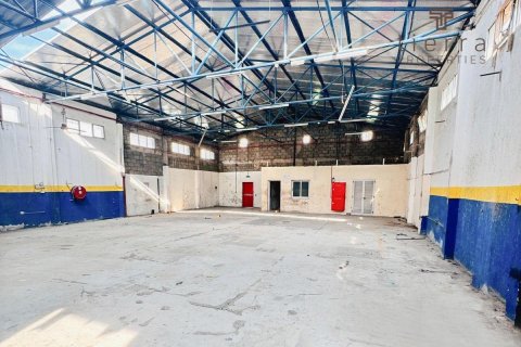 Warehouse de 696.8m² à Deira, UAE No. 48820