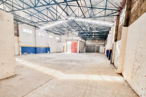 696.8m² Warehouse in Deira, UAE No. 48820 3