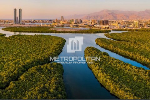 Appartement de 1 chambre à Mina Al Arab, UAE No. 129515 14
