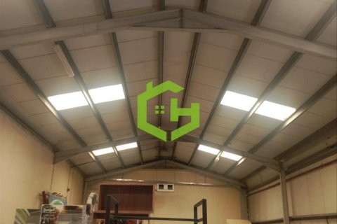 371.6m² Warehouse in Umm Ramool, UAE No. 105153