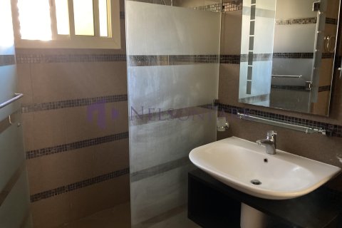 4 غرف نوم فيلا في الدوحة, Qatar رقم 58250 13