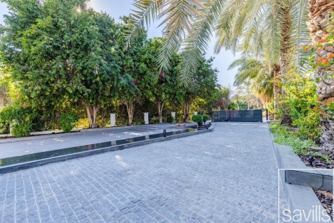 6 غرفة نوم  فيلا في Jumeirah Islands, الإمارات العربية المتحدة رقم 194257 4