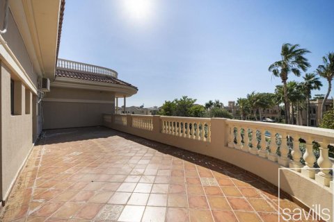 5 bedrooms Villa in Signature Villas, UAE No. 193894 12