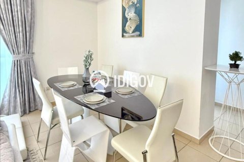 2 bedrooms Apartment in Shams, UAE No. 184881 3