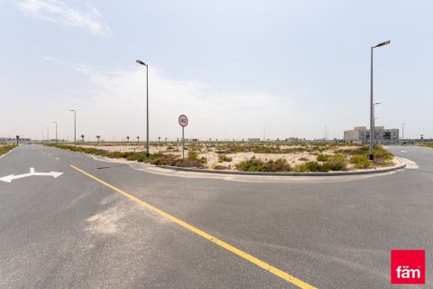 Land de 1030.7m² à Jebel Ali, UAE No. 165984 11
