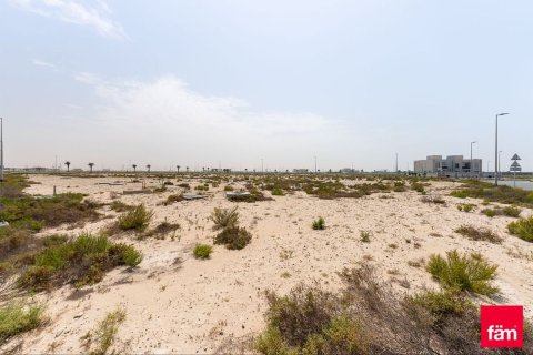 Land de 1030.7m² à Jebel Ali, UAE No. 165984 10