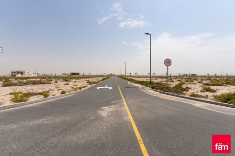 Land de 1030.7m² à Jebel Ali, UAE No. 165984 9