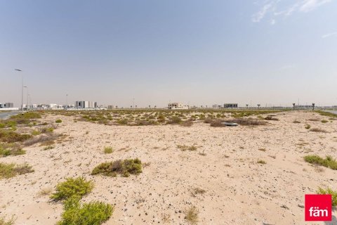 Land de 1030.7m² à Jebel Ali, UAE No. 165984 3