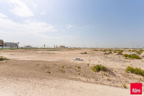 Land de 1030.7m² à Jebel Ali, UAE No. 165984 4
