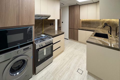 Appartement de 2 chambres à District 13, UAE No. 167029 12