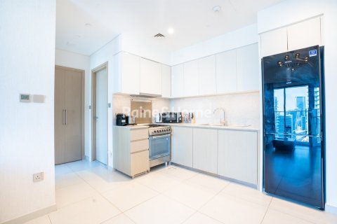 Apartment de 1 dormitorio en Downtown Dubai (Downtown Burj Dubai), UAE No. 156355 8
