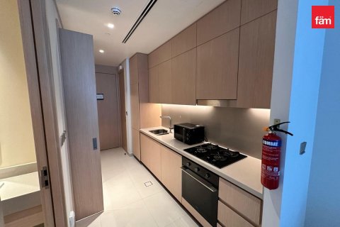 1 bedroom Apartment in Downtown Dubai (Downtown Burj Dubai), UAE No. 186945 8