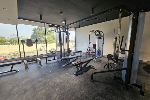 1 bedroom Apartment in As Sib, Oman No. 53586 9