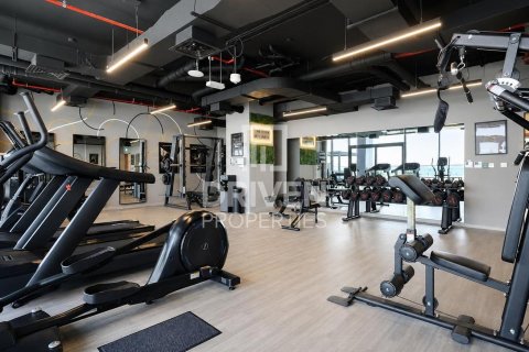 1 غرف نوم شقة في Nad Al Sheba 1, الإمارات العربية المتحدة رقم 192399 11