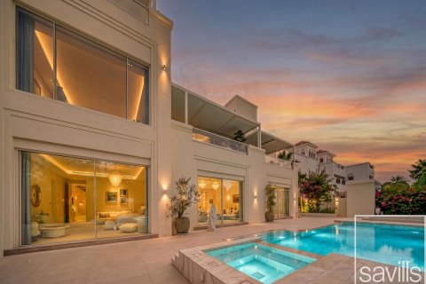 6 bedrooms Villa in Desert Leaf, UAE No. 193881 11