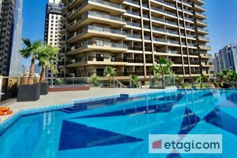 48.8m² Apartment in Downtown Dubai (Downtown Burj Dubai), UAE No. 9901 12