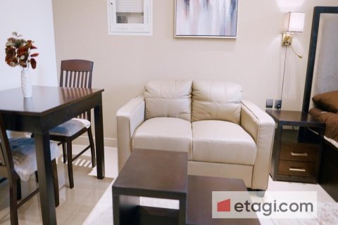 48.8m² Apartment in Downtown Dubai (Downtown Burj Dubai), UAE No. 9901 7
